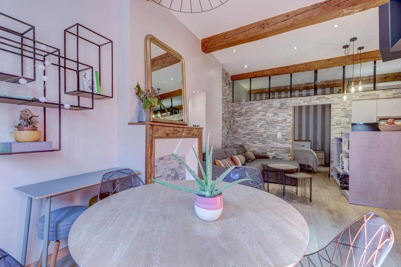 Le Carnot 29 - Beautiful Apartment In The Heart Of Annecy Eksteriør billede